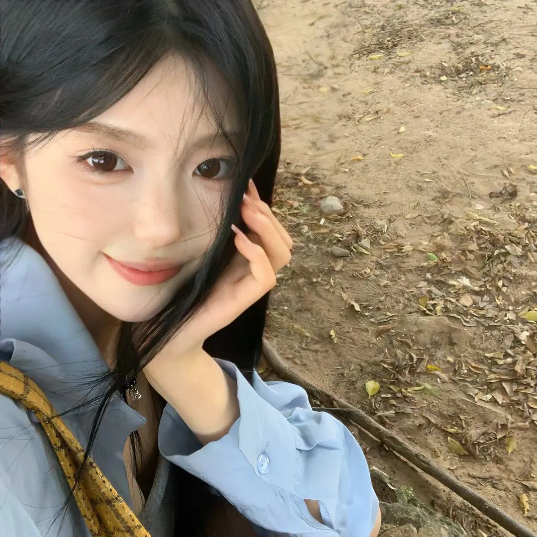 总统的分析